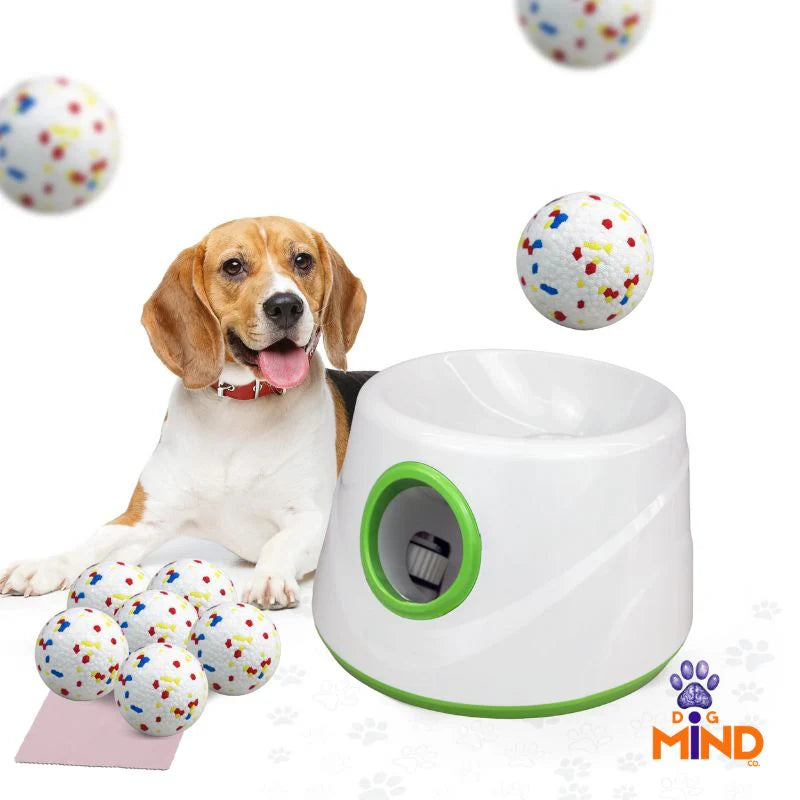 Dog playing with a toy dispenser and flying balls on a white background
